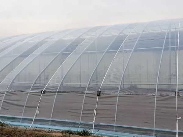 微信圖片_202111190911275